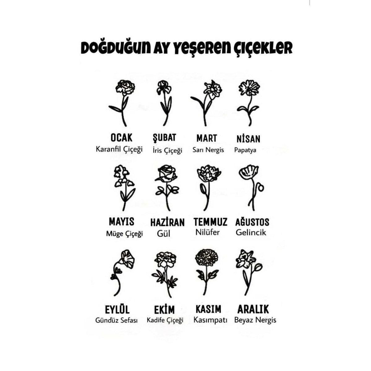 Doğum aylarına göre karanfil, iris, nergis, papatya, müge, gül, nilüfer, gelincik, yıldız, kadife, kasımpatı ve beyaz nergis çiçeklerini gösteren rehber.